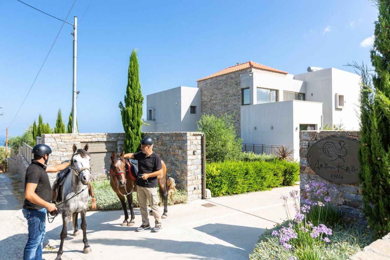 Arion Krini Villa Amnatos Exterior photo